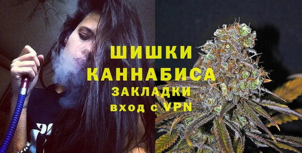 мет Новозыбков