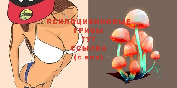 гашик Новокубанск
