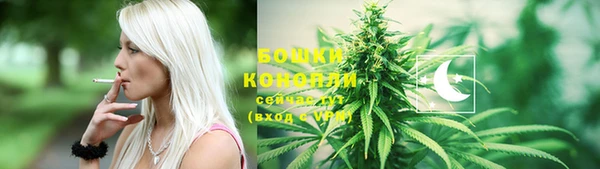 гашик Новокубанск