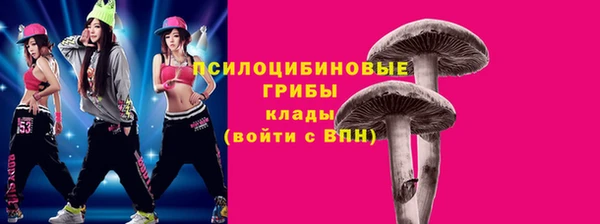 мет Новозыбков