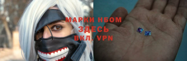 мет Новозыбков
