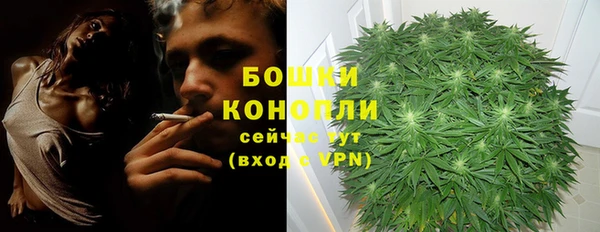 мет Новозыбков