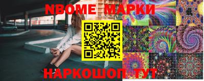 шишки Дубна