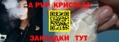 шишки Дубна