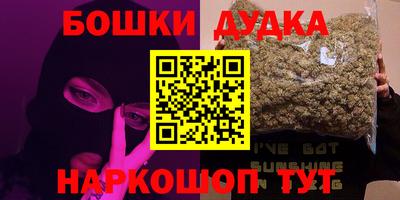 шишки Дубна