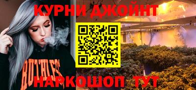 шишки Дубна