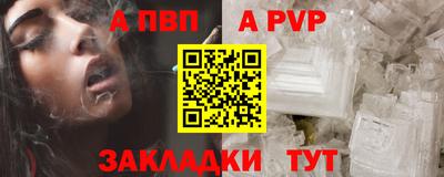 шишки Дубна