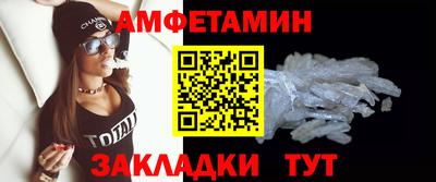 шишки Дубна
