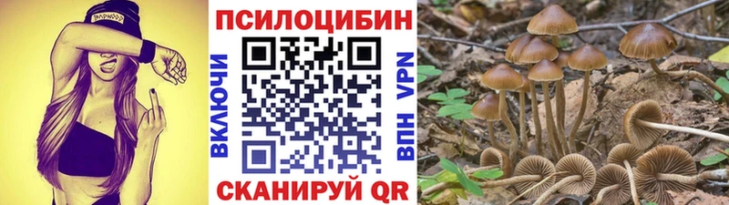 Галлюциногенные грибы Psilocybine cubensis  гидра ССЫЛКА  Лянтор  купить наркотики сайты 