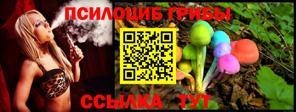 как найти   Вход с VPN  Лянтор  Галлюциногенные грибы мицелий 