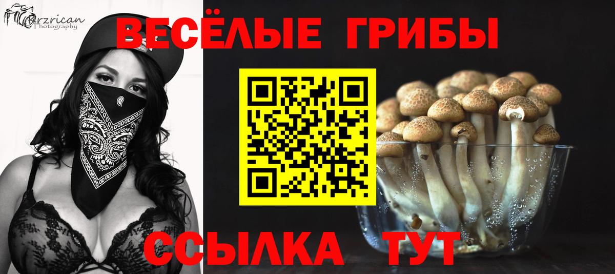 Псилоцибиновые грибы Psilocybine cubensis Лянтор